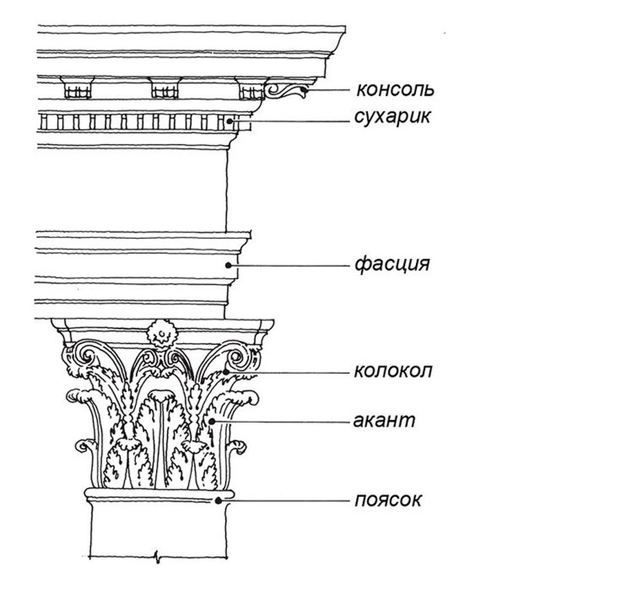 Капитель колонны.