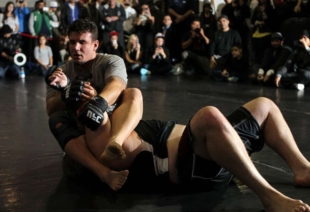 2 UFC Frank Mir Octagon.jpg