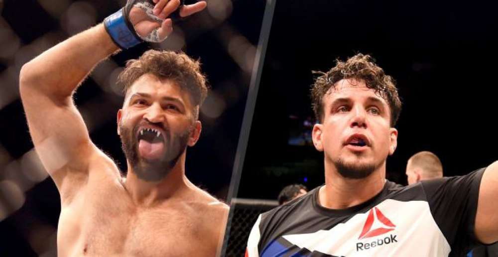 3 UFC Frank Mir Octagon.jpg