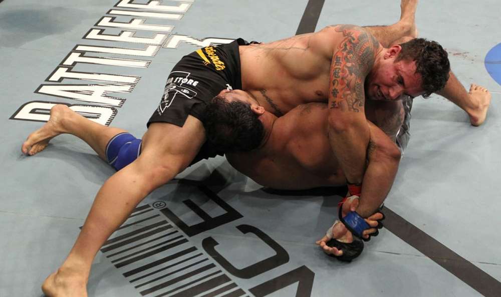 4  UFC Frank Mir Octagon.jpg