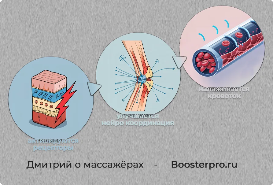 Влияние миофасциального вибро релиза на организм