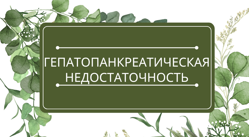 Гепатопанкреатическая недостаточность.png