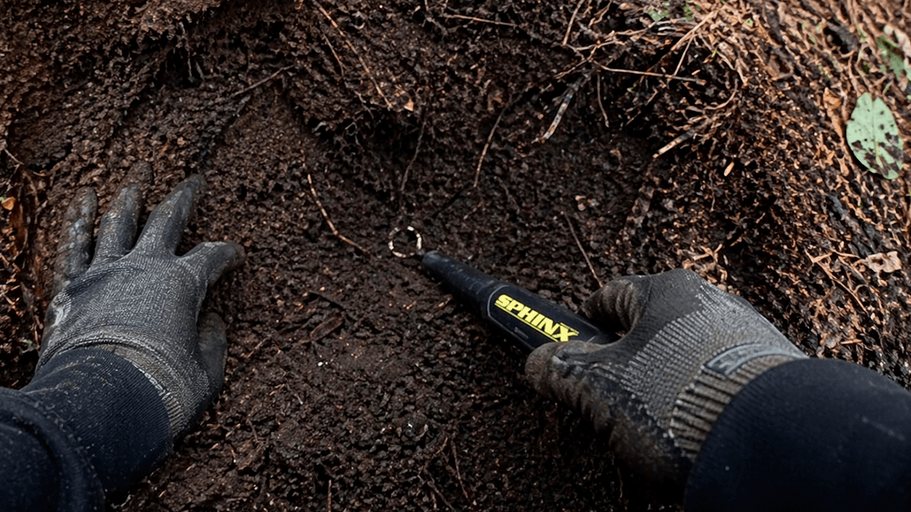 Поиск колечка пинпоинтером Сфинкс