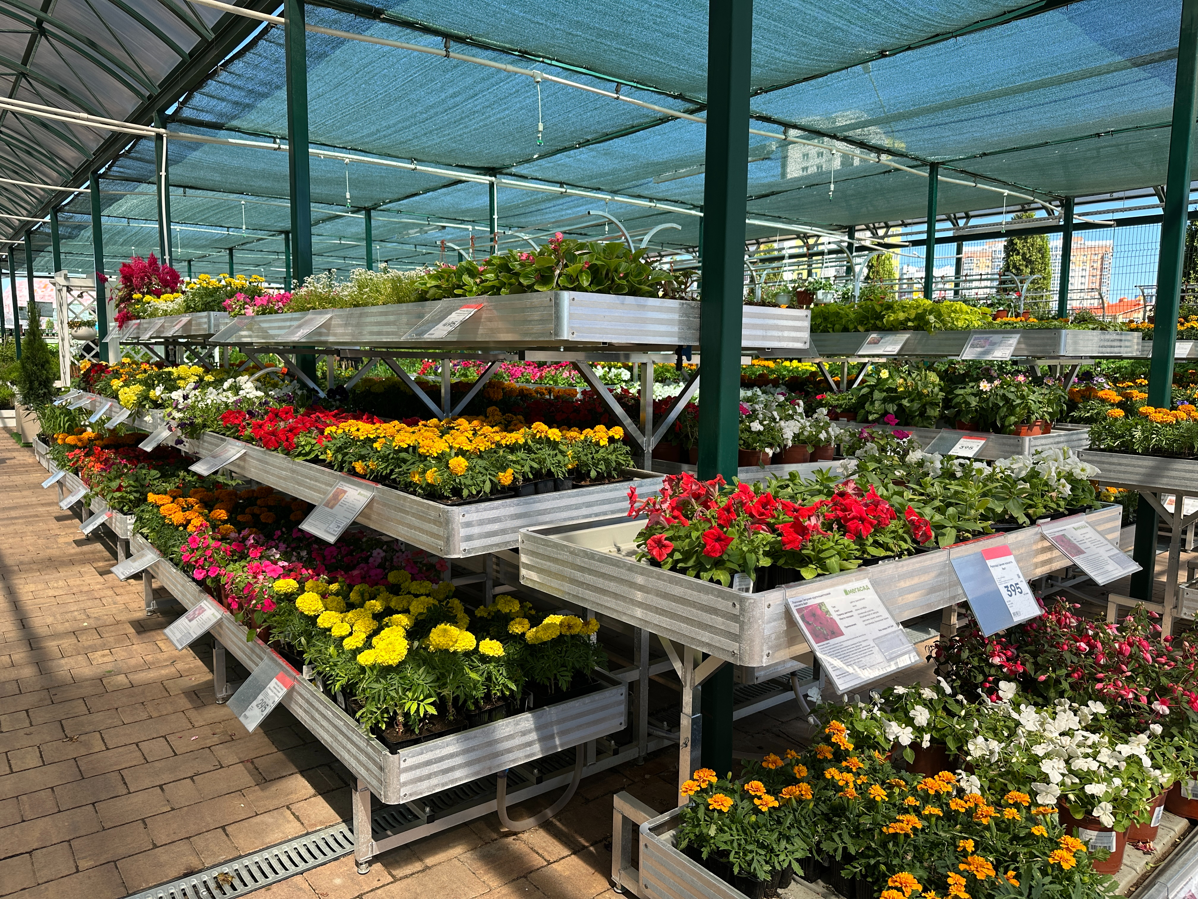 Несколько удобных уровней с нижним поливом для открытых площадок садовых центров