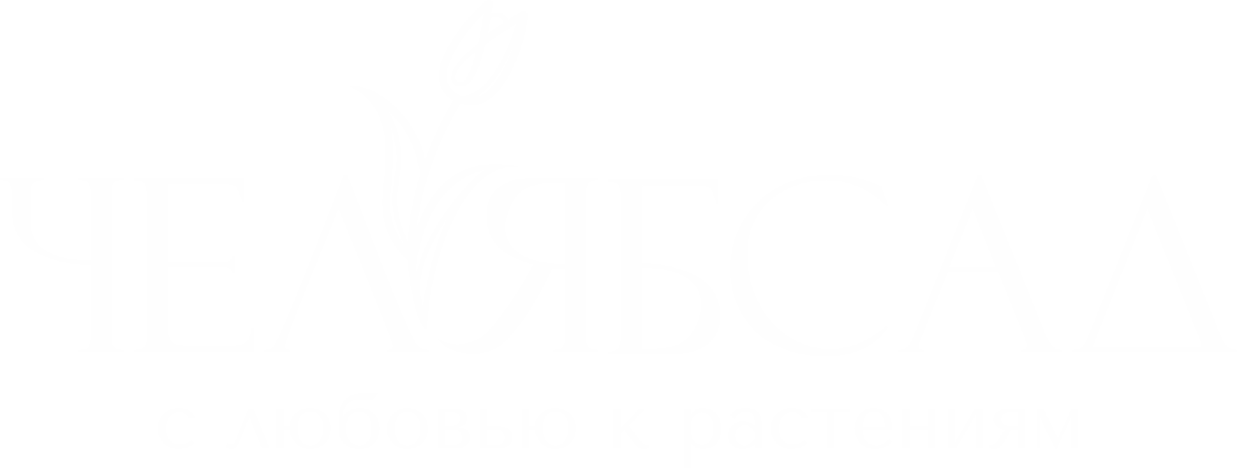 ЧЕЛЯБСАД