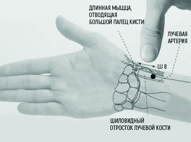 Lu 8.jpg