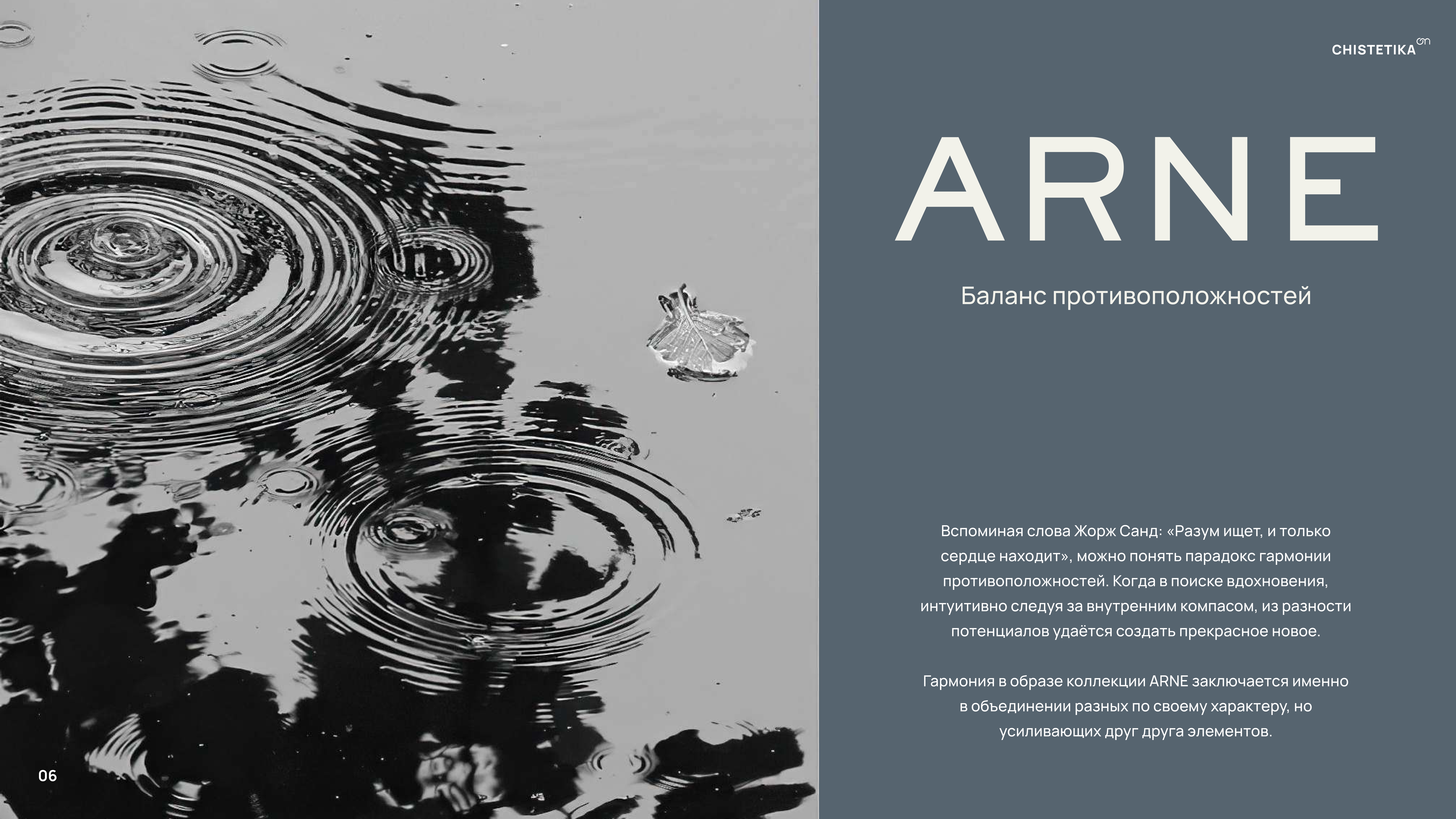 ARNE_presentation_ARNE презентация_page-0006.jpg