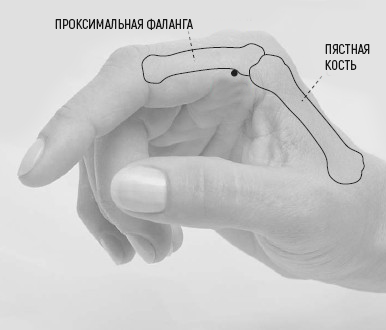 Со2.png