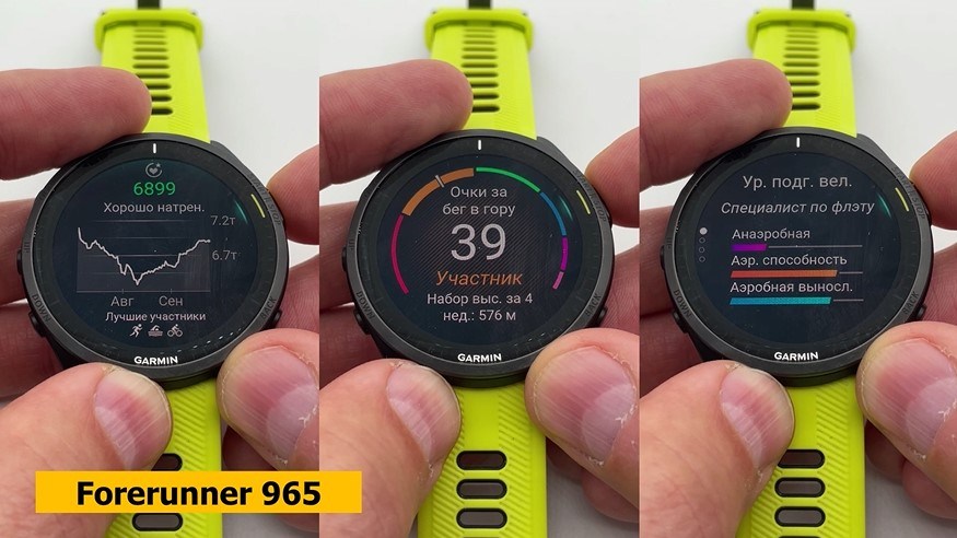 Garmin-Forerunner-165-265-965-Obzor-63.jpg