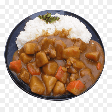 png-transparent-japanese-curry-gyu016bdon-thai-curry-beef-noodle-soup-japanese-beef-curry-rice-s.png