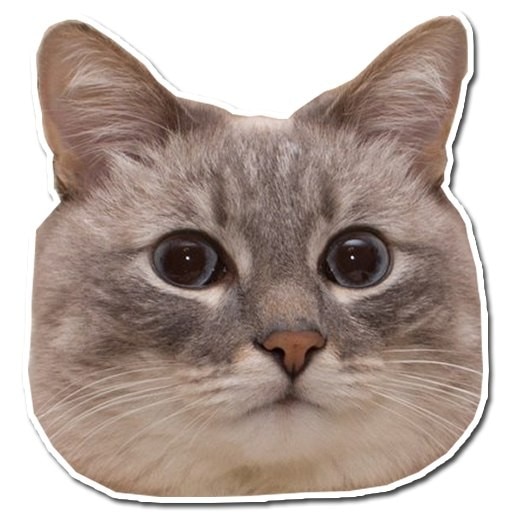 Мой магазин