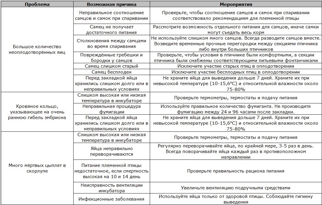 Как правильно осуществить закладку яиц?