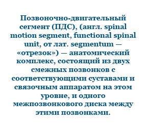 Глубокие короткие мышцы позвоночника особенности работы