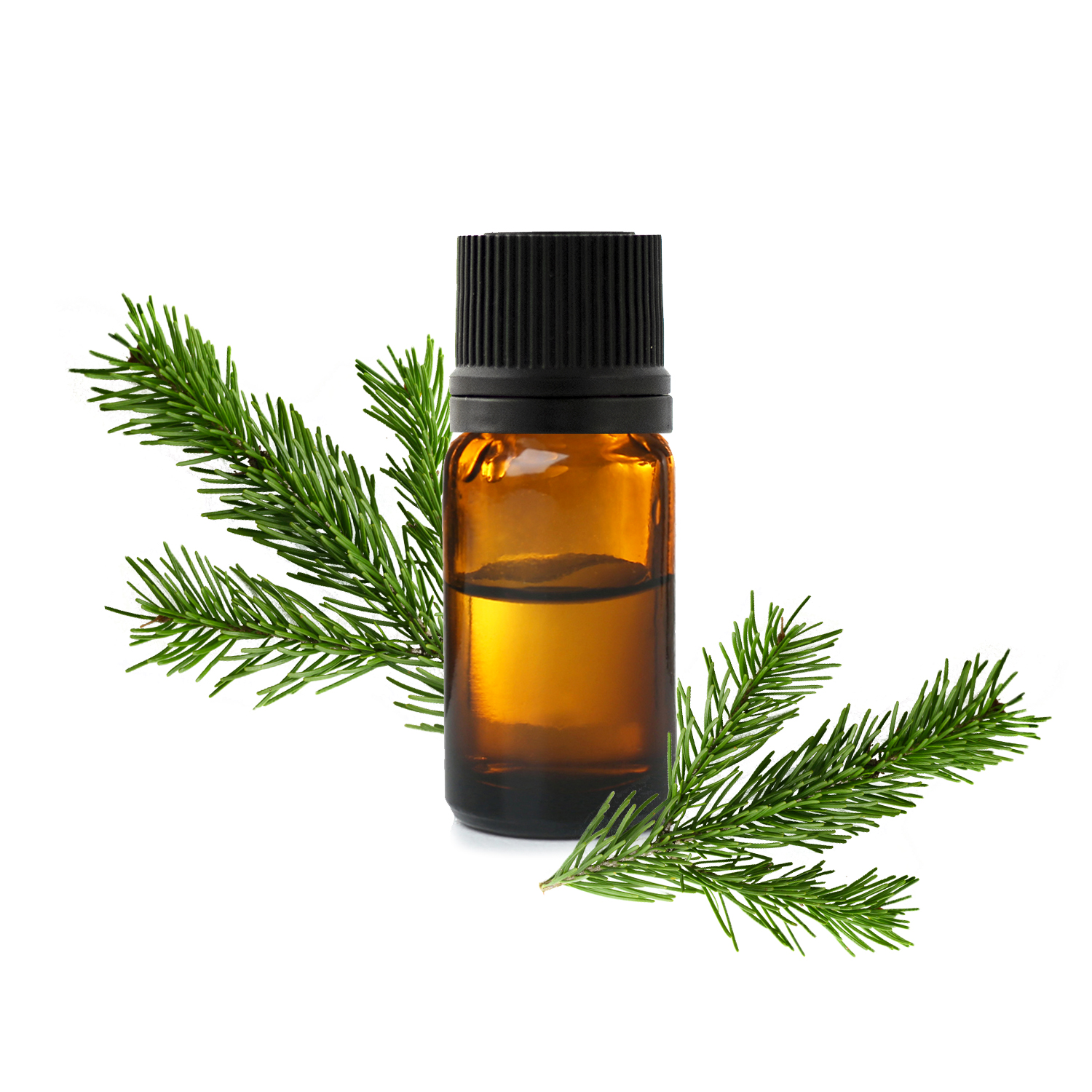 черная ель.jfif