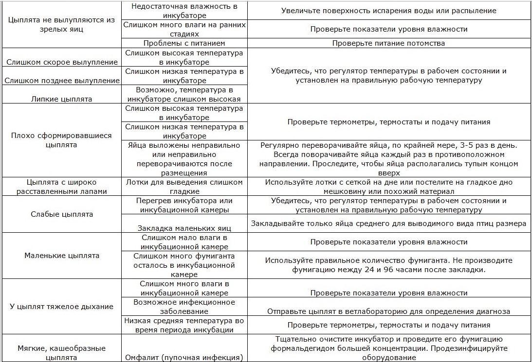 Исследовательская работа “Выведение цыплят в домашних условиях”