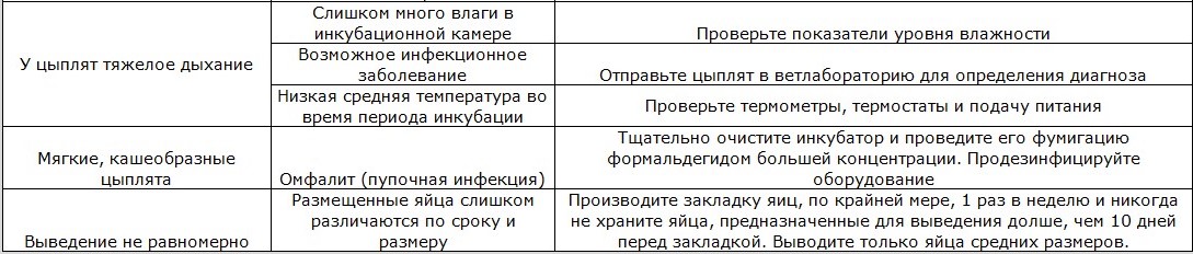 Научно-исследовательская работа «Выведение цыплят в инкубаторе в домашних условиях»