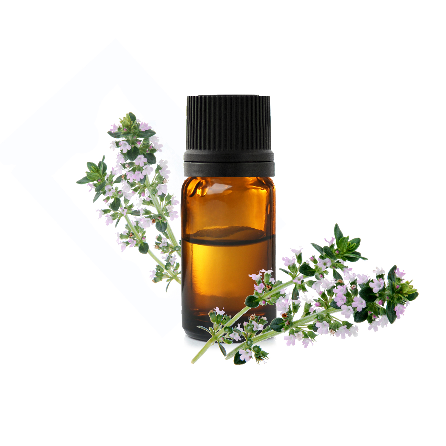 чабер садовый тимьян пикант.jfif