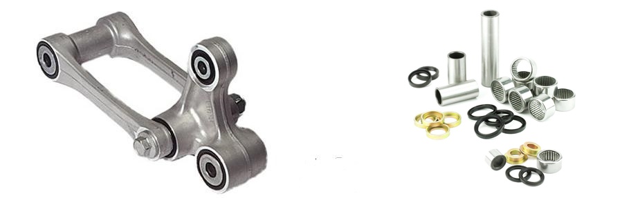 linkcat-2 (4) linkcat-2 (4).jpg