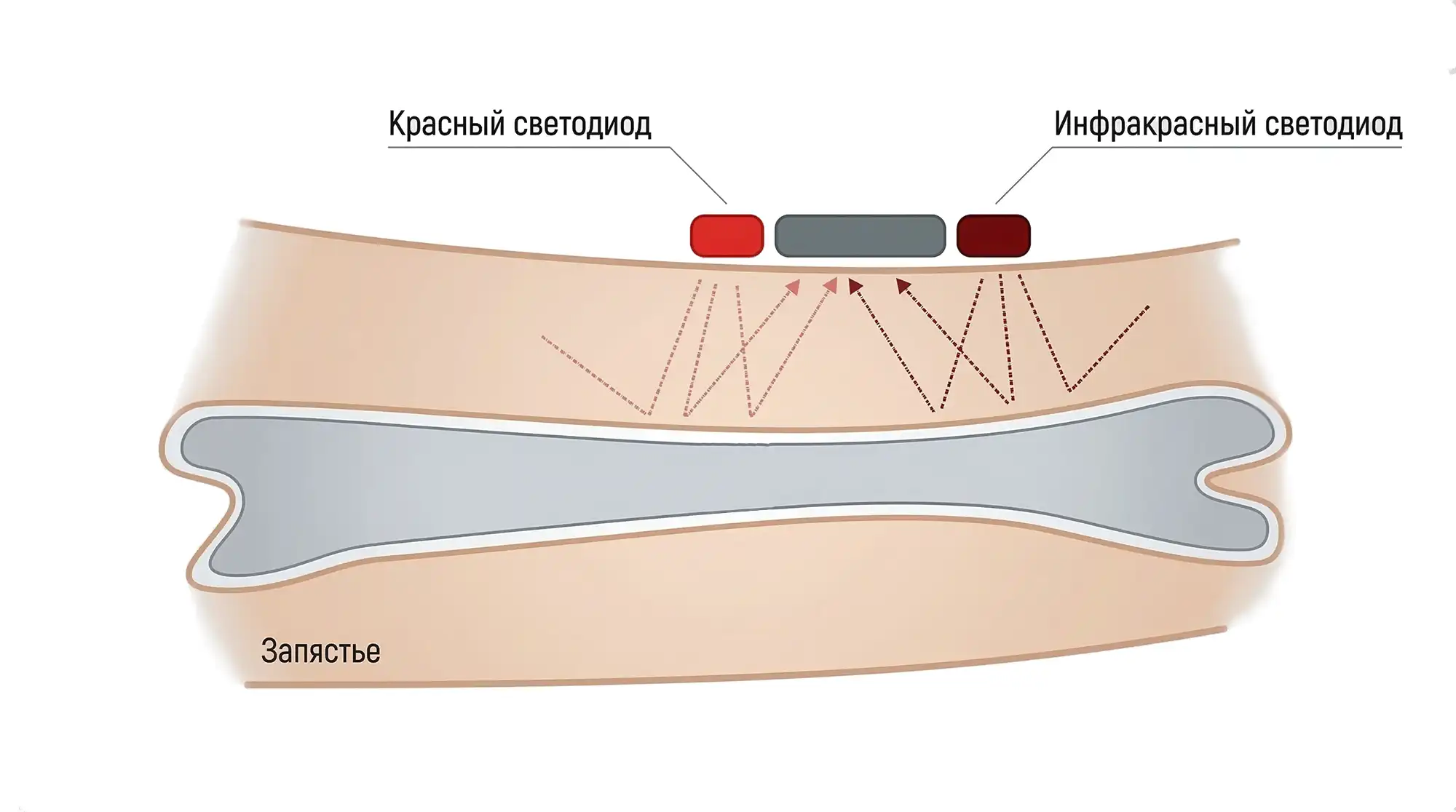 izmerenie-saturacii Измерение сатурации крови
