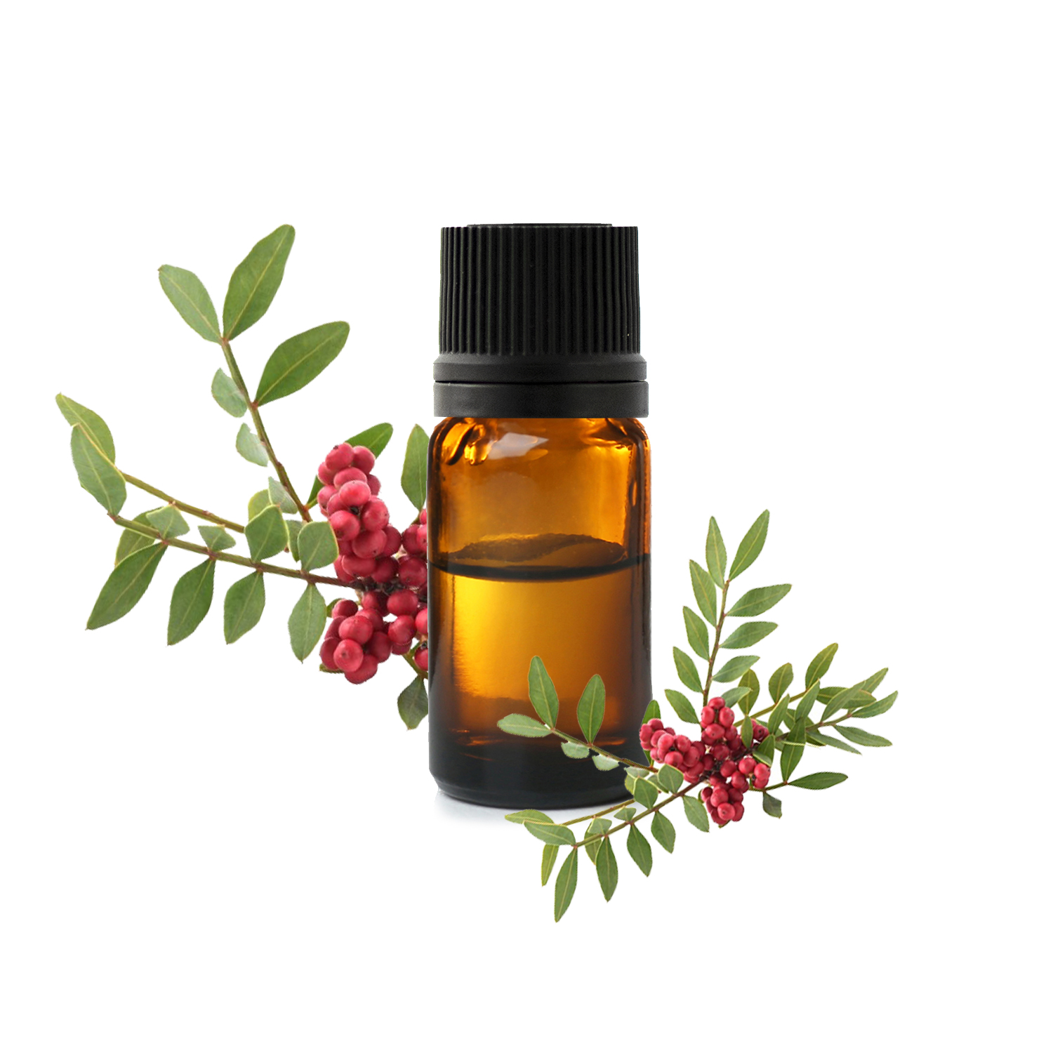 фисташковой чечевицы.jfif