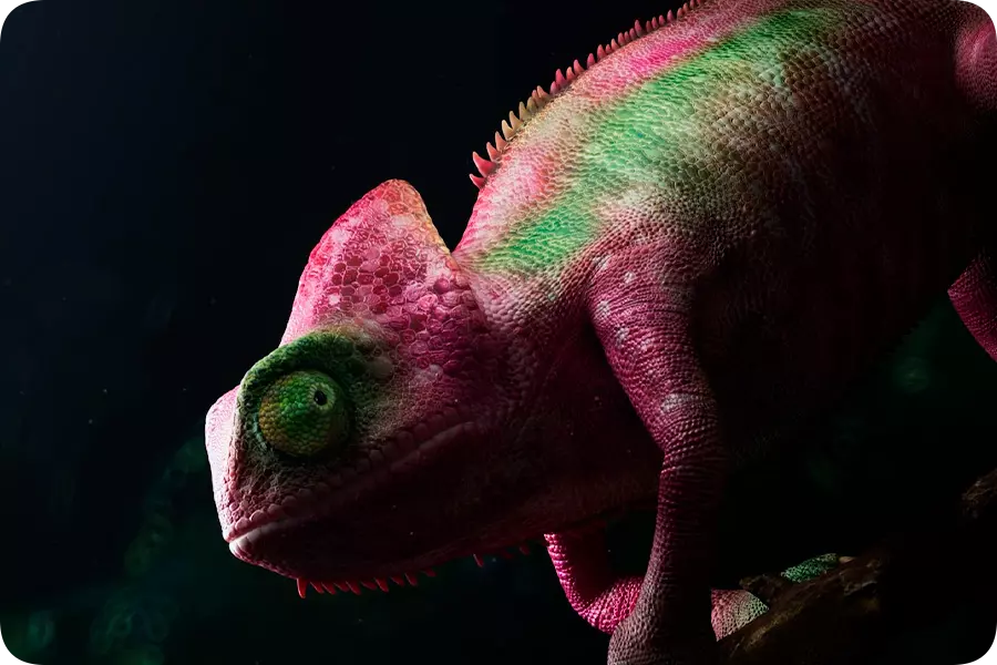 Телевизор Xiaomi TV S 85 Mini LED-описание-5 Телевизор Xiaomi TV S 85 Mini LED-описание-5.jpeg