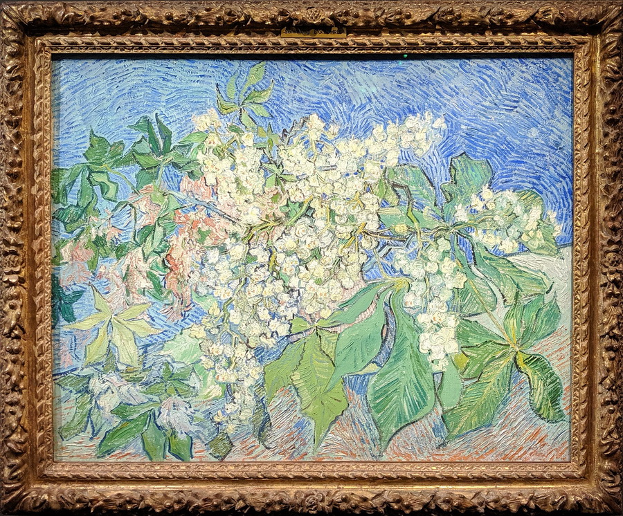 Van_Gogh_-_Blossoming_Chestnut_Branches.jpg