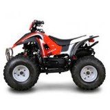 Stels ATV 100 C
