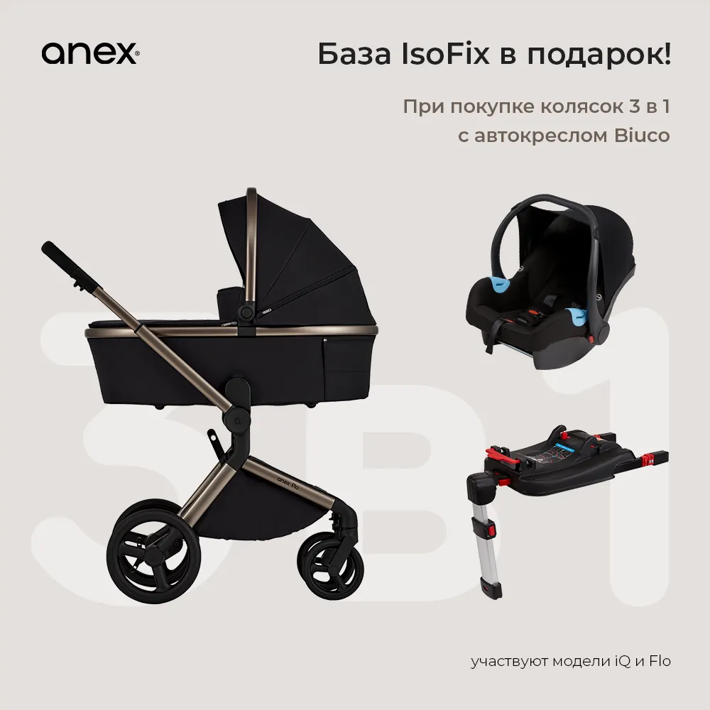 anex-3-1 + biuco + base isofix 1000.webp