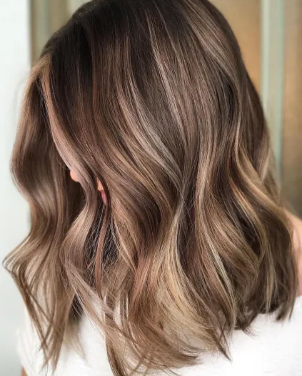 12-thick-brown-hair-with-subtle-highlights.jpeg