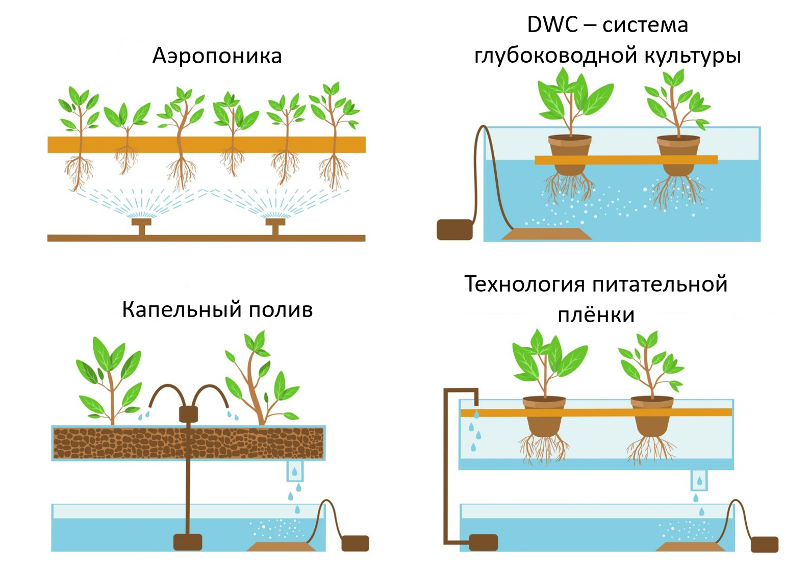 Виды гидропоники Чем отличаются технологии выращивания растений на гидропонике