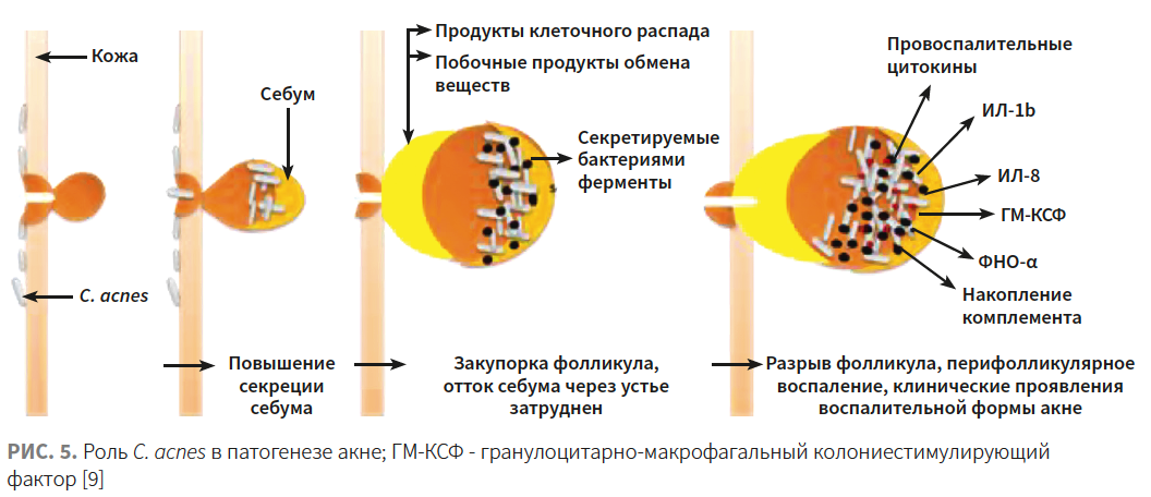 Акопян КМ 1-2023_Рис 5.png