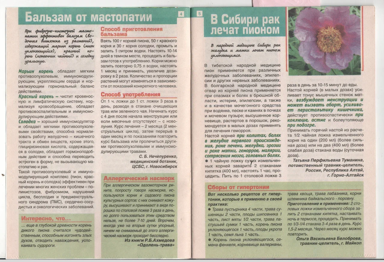 Как пить настойку пиона. Схема настойки пиона для подростков. Каким цветом должен быть отвар пиона. Как пить настойку пиона до или после еды.