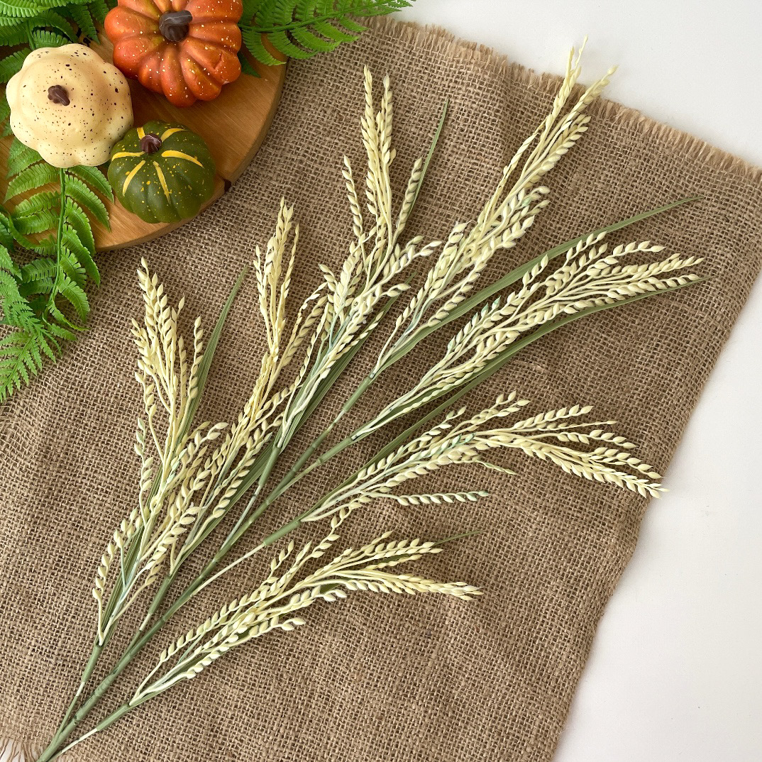 IMG_6969 IMG_6969.JPEG