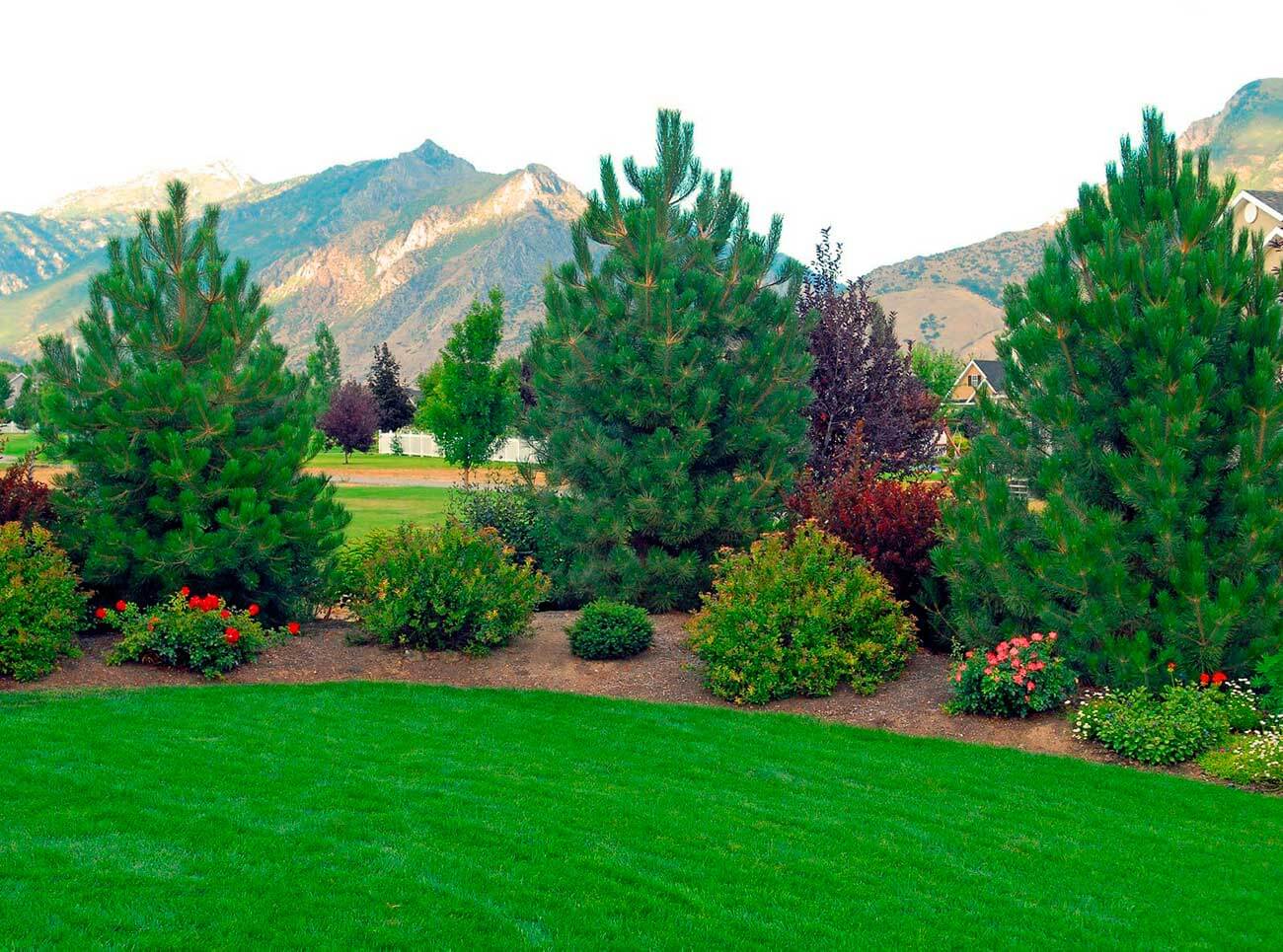 главная главная.jpg