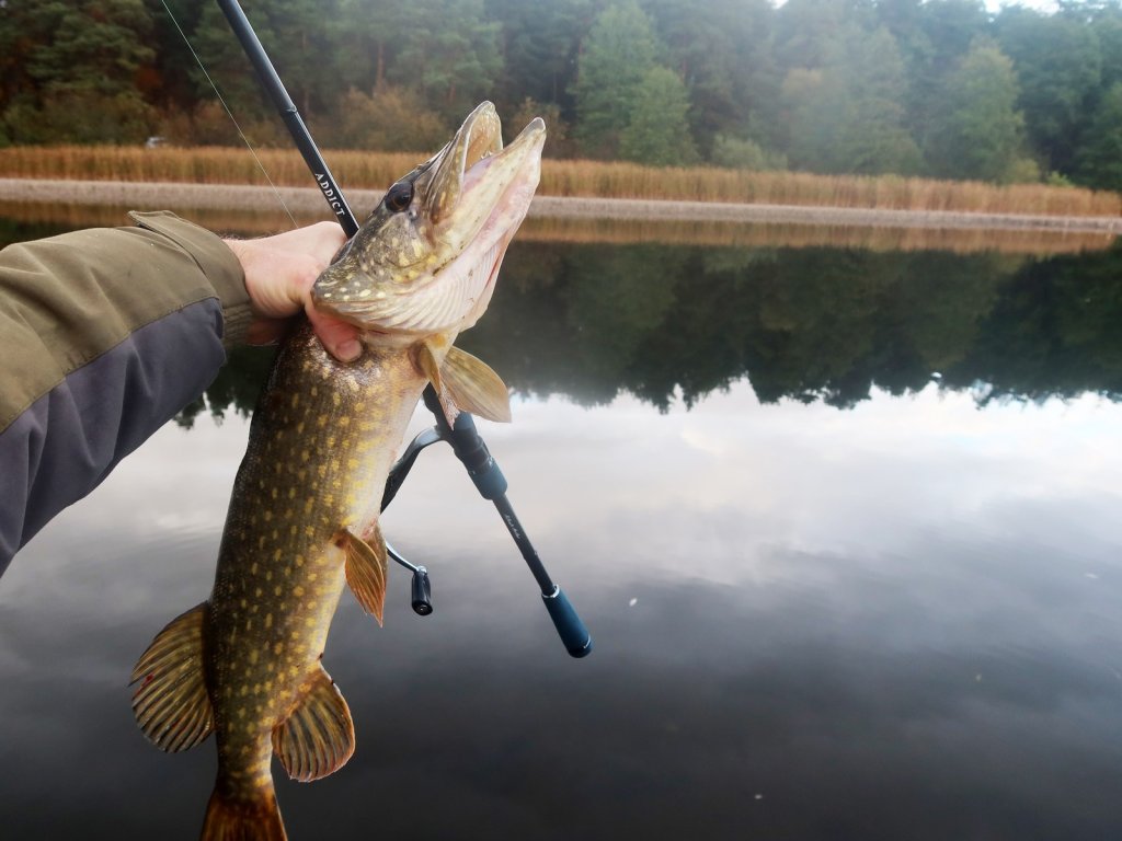 schuka_so_spinningom_na_fone_vodojoma schuka_so_spinningom_na_fone_vodojoma.jfif