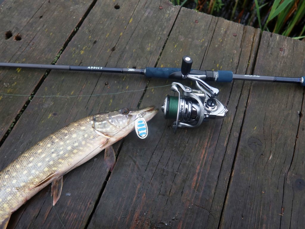 schuka_kljunula_na_vertushku schuka_kljunula_na_vertushku.jfif