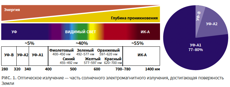 Турубара (Виши) КМ 1-2024_Fig 1.png
