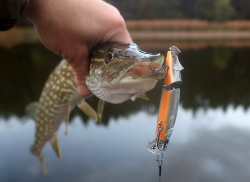 schuka_s_sostavnym_voblerom schuka_s_sostavnym_voblerom.jfif