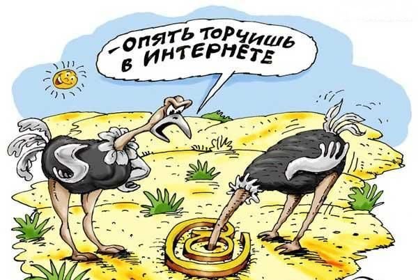интернет приколы