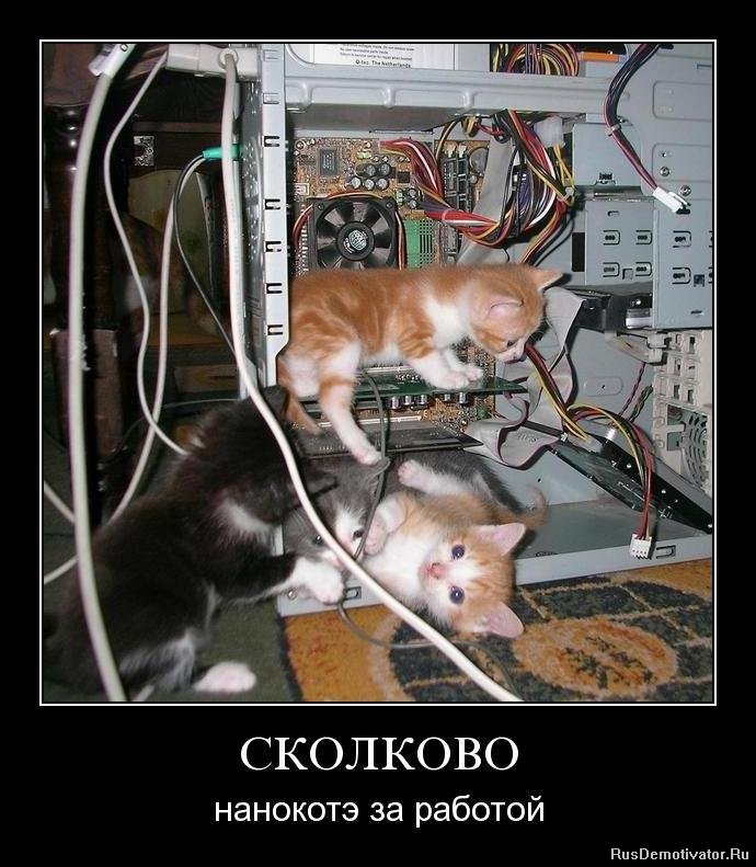 интернет приколы