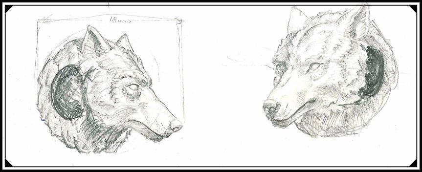 Будущий прототип шарма Волк, рисунок карандашом.