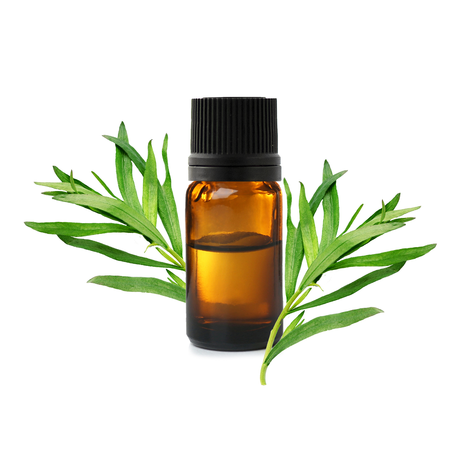 эстрагон.jfif