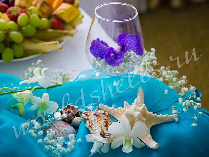 Морские звезды и ракушки - незаменимые декоративные элементы морской свадьбы