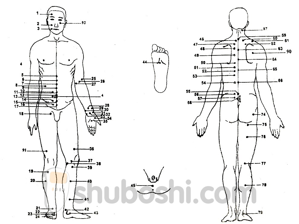 Точки тела. Шубоши атлас точек акупунктуры. Акупунктура тела человека атлас. Иглоукалывание схема точек. Схема точек акупунктуры на теле человека.