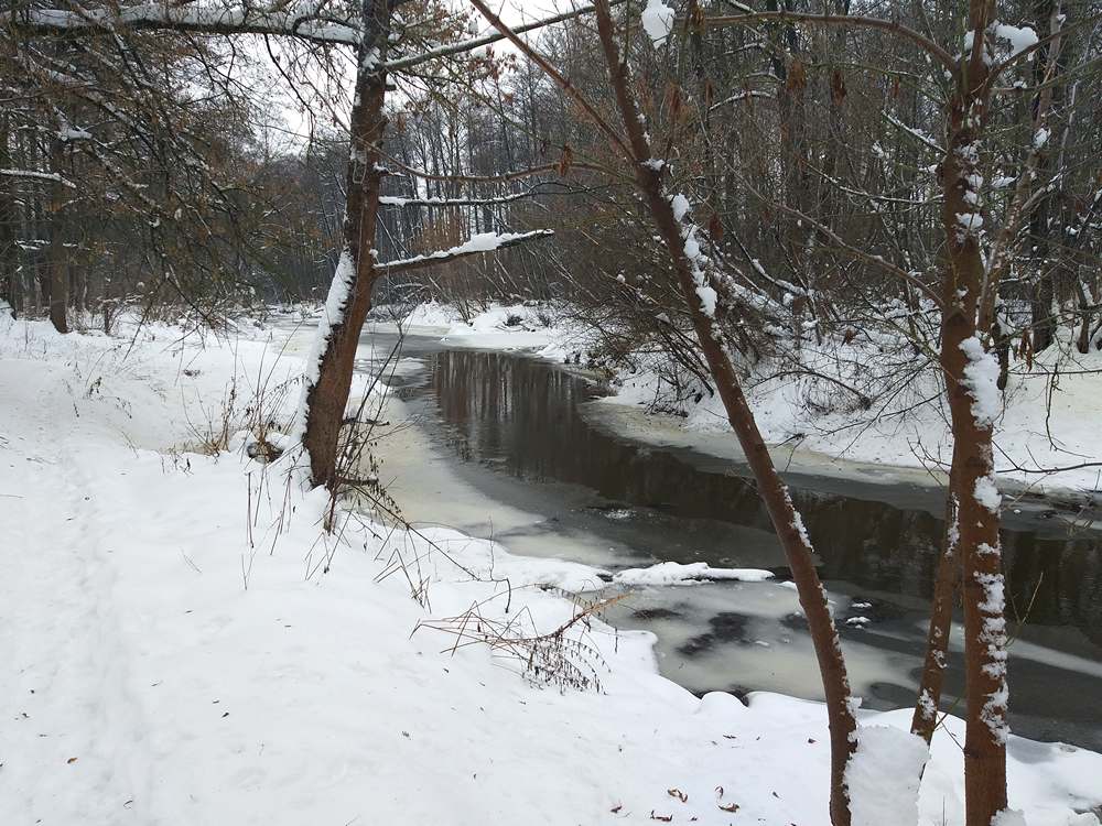 river_microjig_in_winter_014.jpg