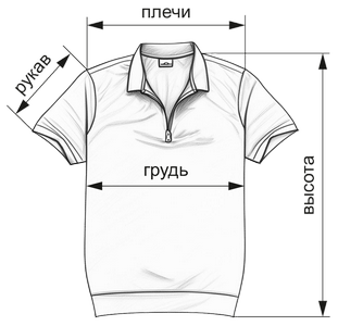 polo-02-300 polo-02-300.png