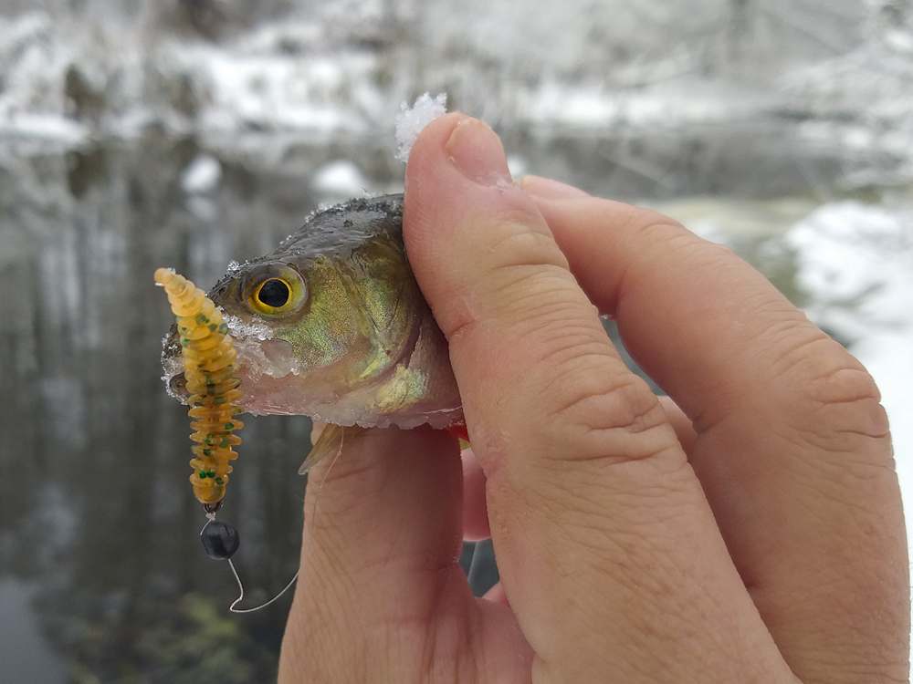 river_microjig_in_winter_005.jpg