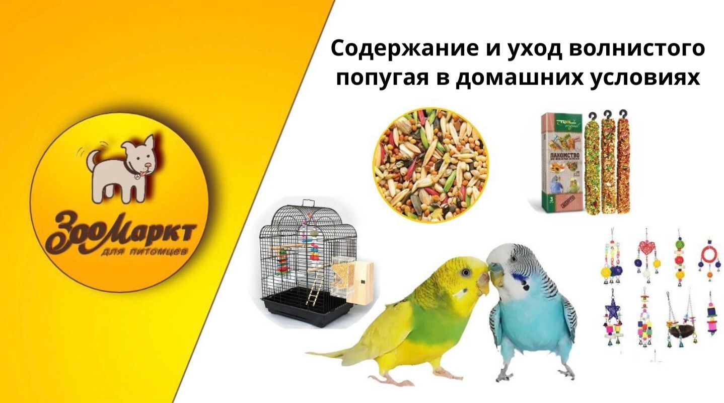 ae77cea2-e25f-4212-8830-24d887ad2095.jpg
