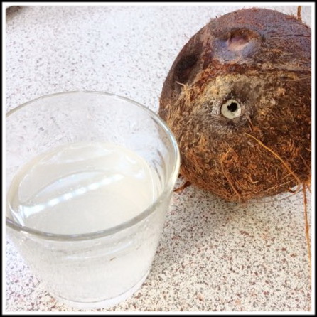 Сливаем кокосовое молоко