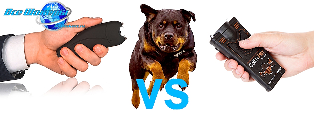 Сравнение электрошокеров и ультразвуковых отпугивателей, что эффективно  против собак, Отзывы, средства отпугивания от злых собак